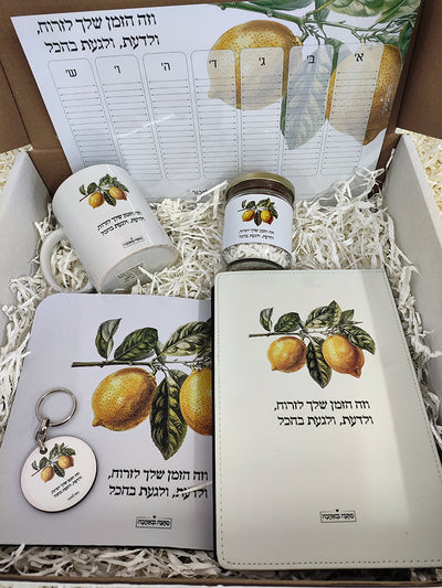 מתנות ליום הולדת – להפוך כל חגיגה לזיכרון מתוק (מאמר 29)